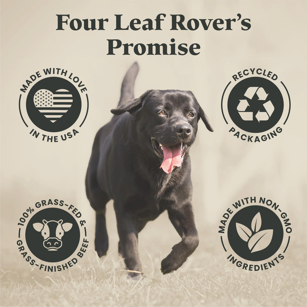 FOUR LEAF ROVER Kibble Fixer probiotic-enzymes shot emphasizing gut-friendly formula.