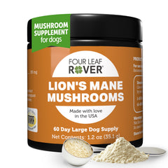 Four Leaf Rover Lion's Mane dog bottle pour boosts cognitive support potential.