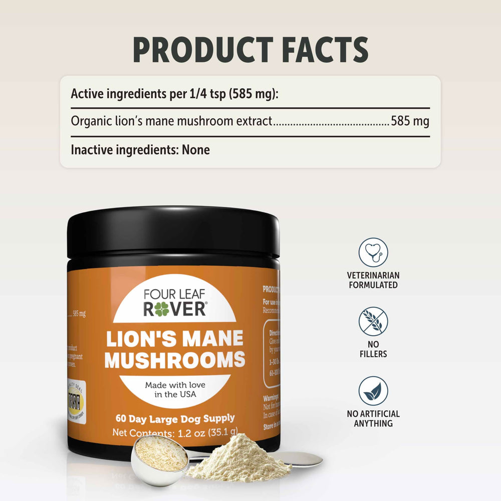 Four Leaf Rover Lion's Mane organic mushrooms plate highlights quality and daily support.