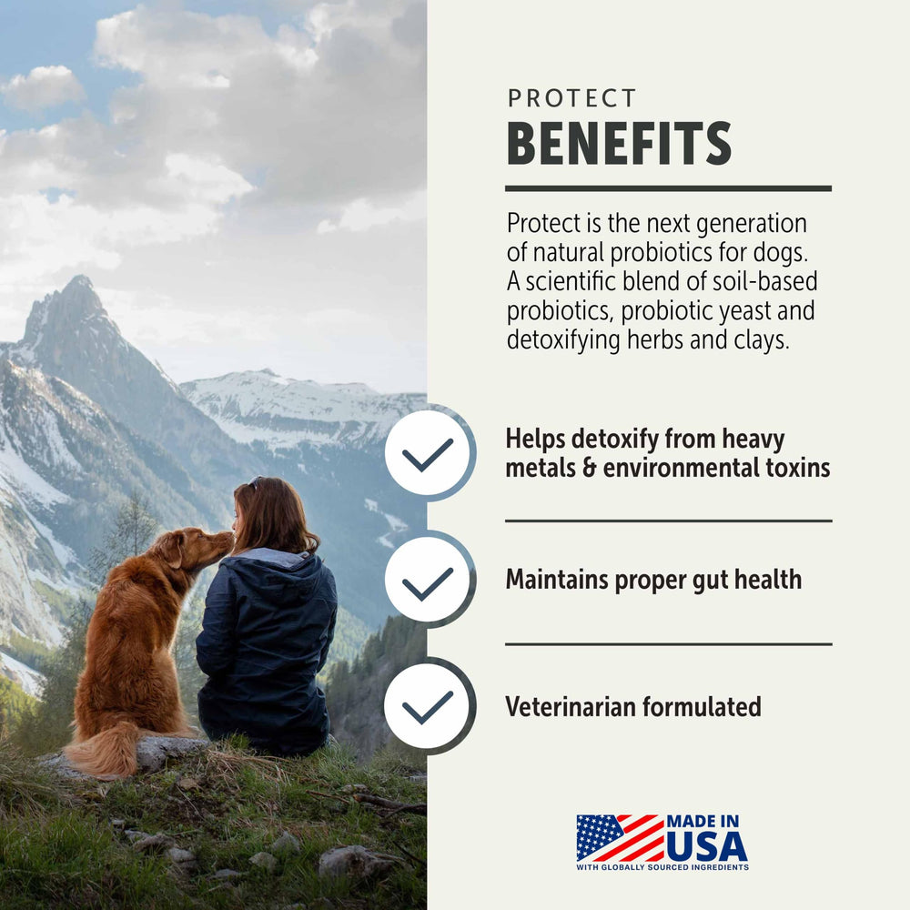 Four Leaf Rover Protect label close-up showing probiotic ingredients for gut balance