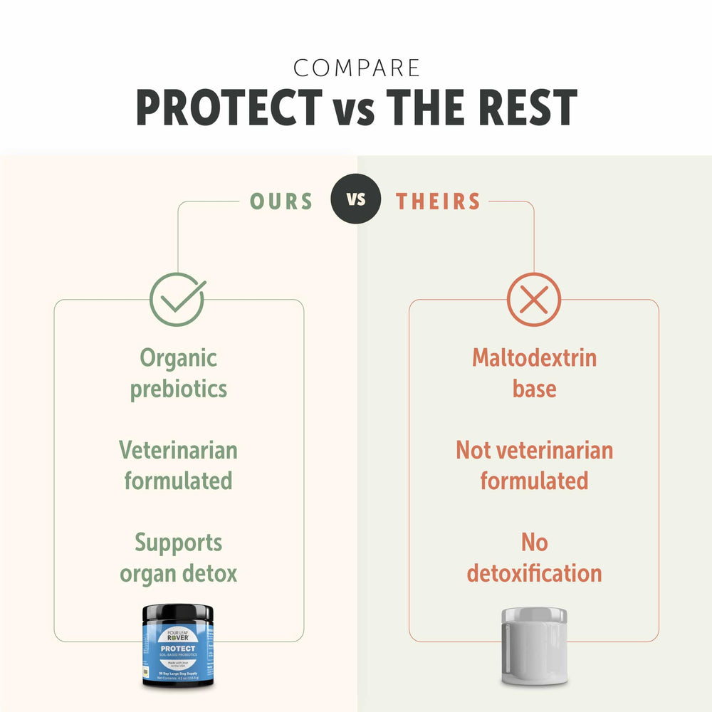 Four Leaf Rover Protect probiotic capsules ready to sprinkle into meals