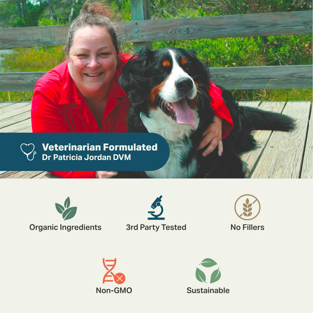 Four Leaf Rover Safe-Sea helps dogs achieve a shinier coat and healthier appearance.