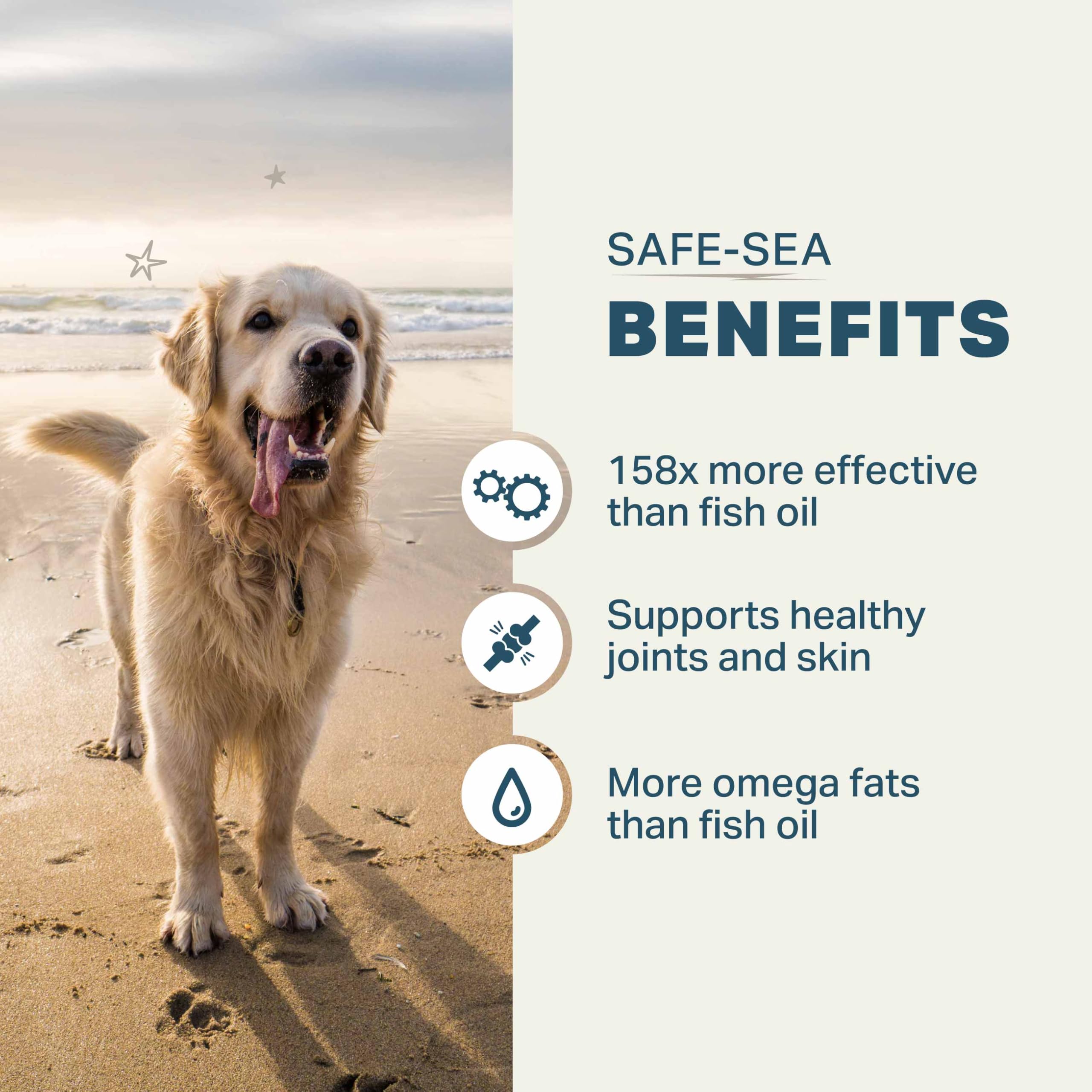 Four Leaf Rover Safe-Sea ingredients graphic highlights ETA, GLA, and astaxanthin benefits.