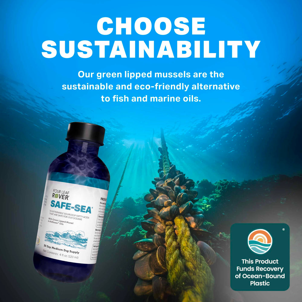 Four Leaf Rover Safe-Sea veterinarian-formulated label suggests trusted canine nutrition support.
