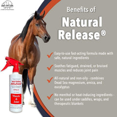 Four Oaks Farm Ventures aroma-free formula applied under tack for safe under saddle use