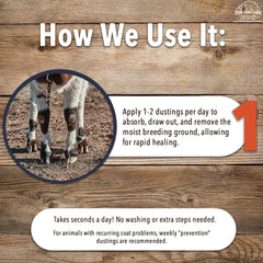 Four Oaks Goat Hoof & Coat Powder on skin/coat issue for topical care.