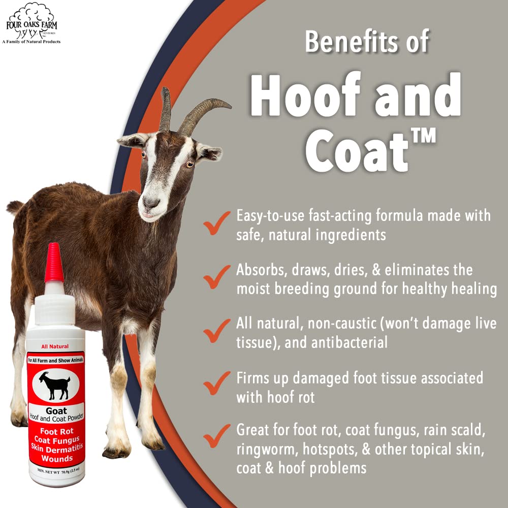 Four Oaks Goat Hoof & Coat Powder applied on wound to absorb discharge.