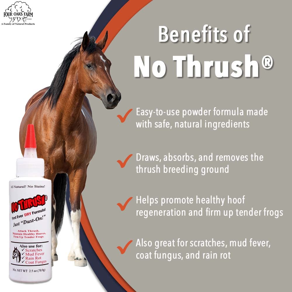 Four Oaks No Thrush applying to heel cracks for hoof area comfort.