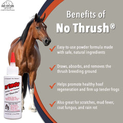 Four Oaks No Thrush applying to heel cracks for hoof area comfort.