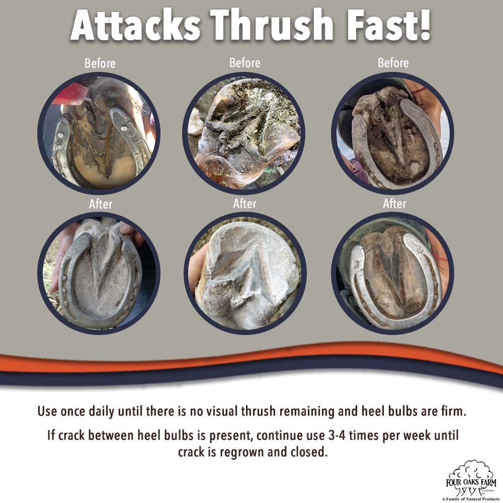 Four Oaks No Thrush treatment for rain rot care during barn routine.