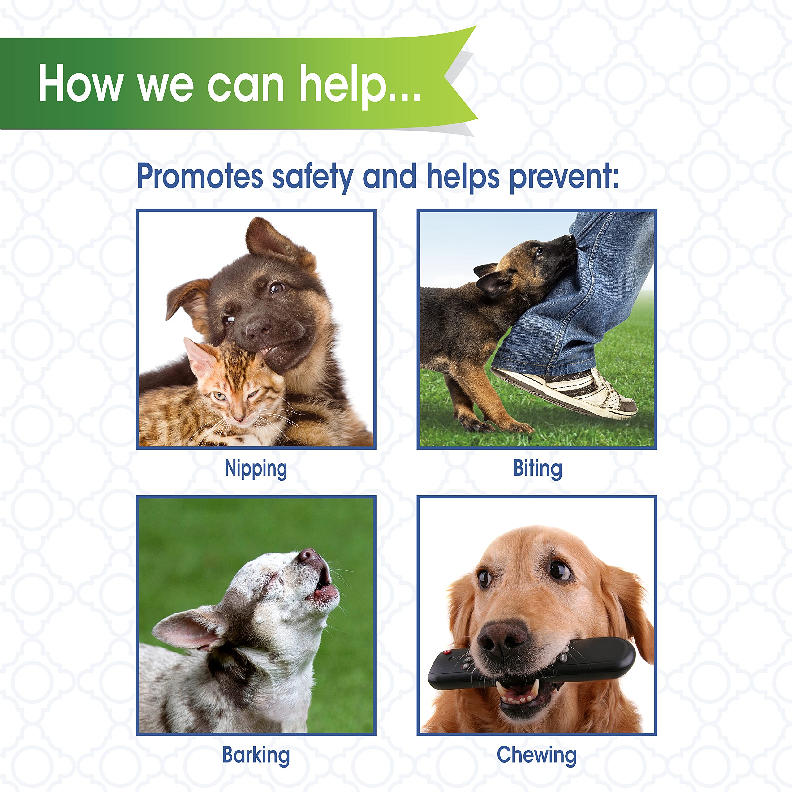 Four Paws Walk-About breathable muzzle supports comfortable panting on walks.