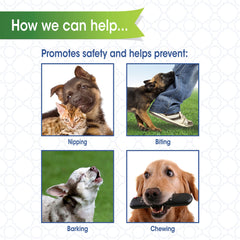 Four Paws Walk-About breathable muzzle supports comfortable panting on walks.