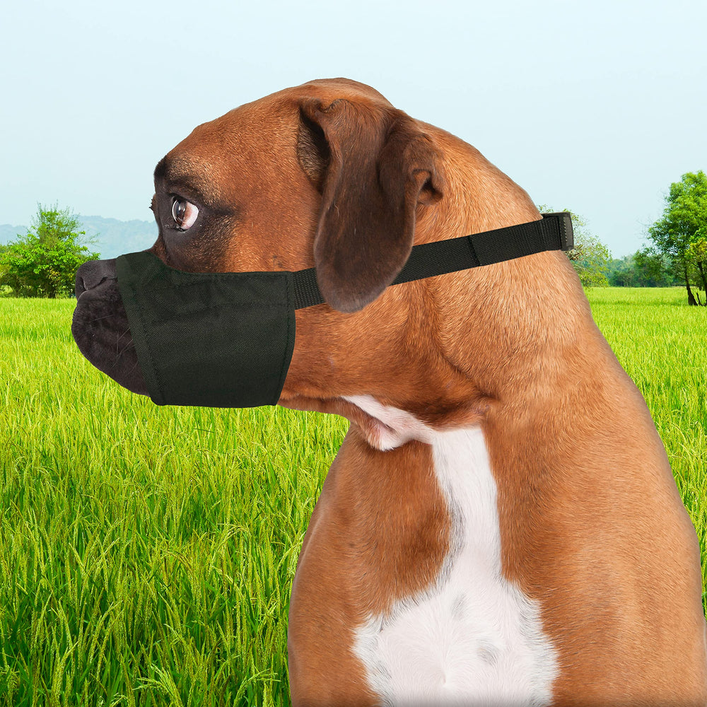 Four Paws Walk-About medium-dog muzzle with quick buckles for easy on/off.