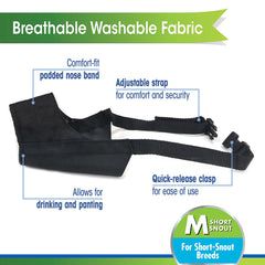 Four Paws Walk-About short-snout muzzle with adjustable strap for boxer types.