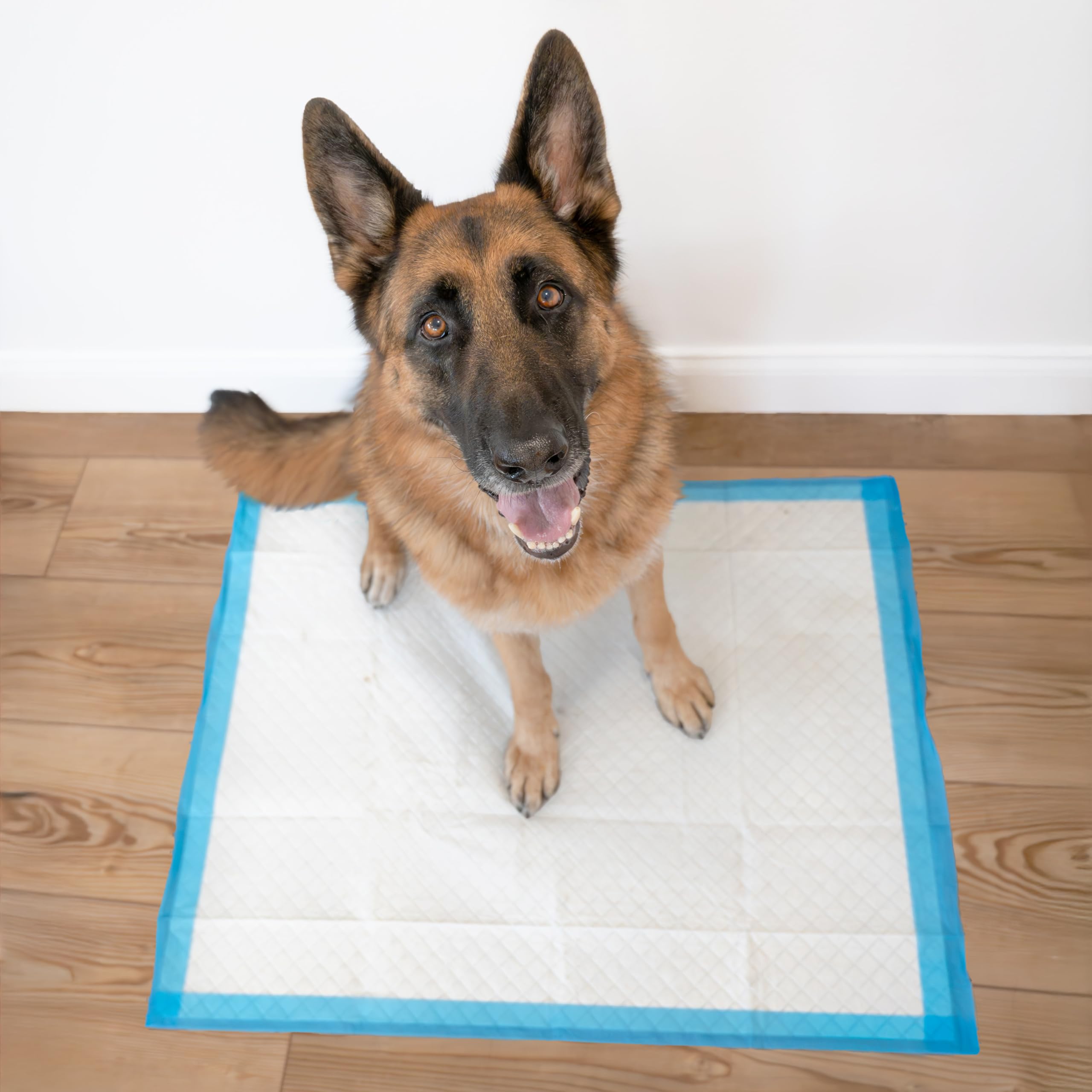 Four Paws Wee-Wee targeted attractant helps guide dogs to the pad.