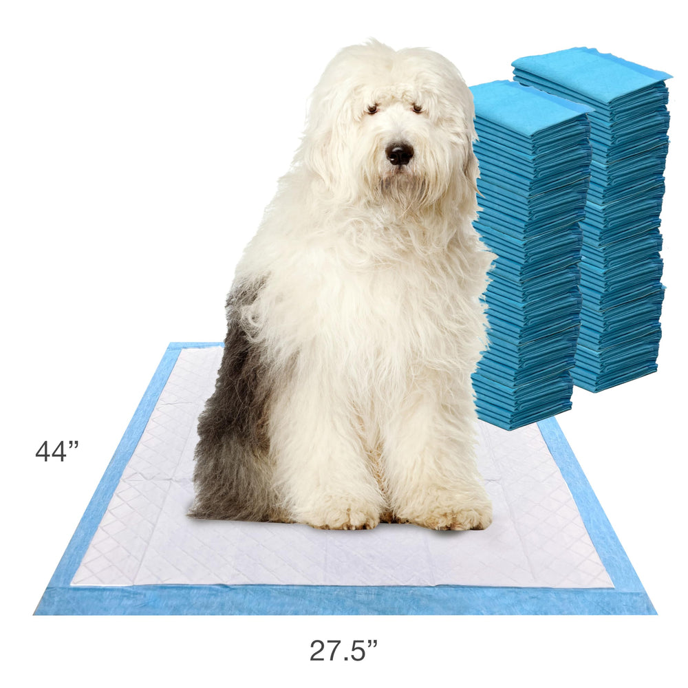 Four Paws Wee-Wee 6-layer leak-proof technology keeps floors dry for pets and homes.