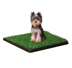 Four Paws Wee-Wee Patch durable tray with easy-drain spout for quick cleanup.