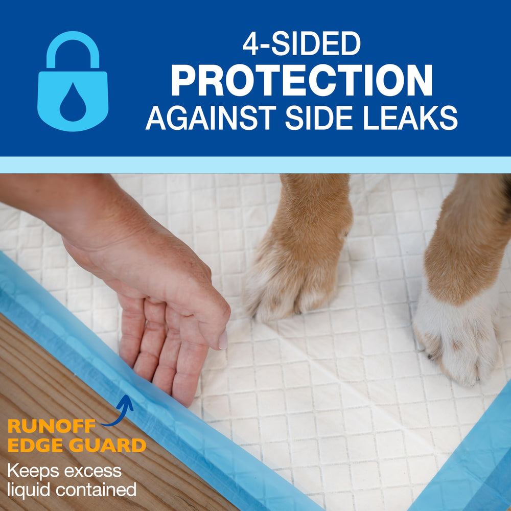 Four Paws Wee-Wee XL 28x34 inch pad laid on a clean floor for housebreaking large dogs.
