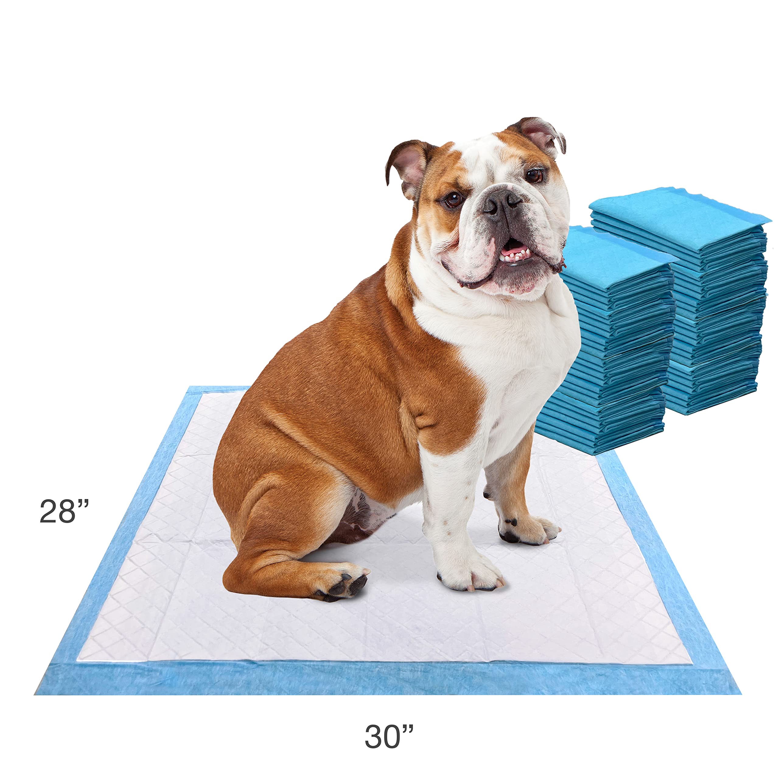 Four Paws Wee-Wee pads 22x23-inch size supports larger dogs
