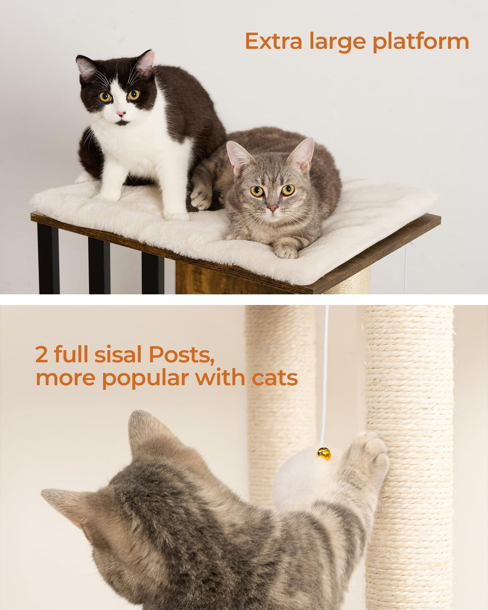 FourFurPets large platforms provide roomy spaces for fat cats and kittens