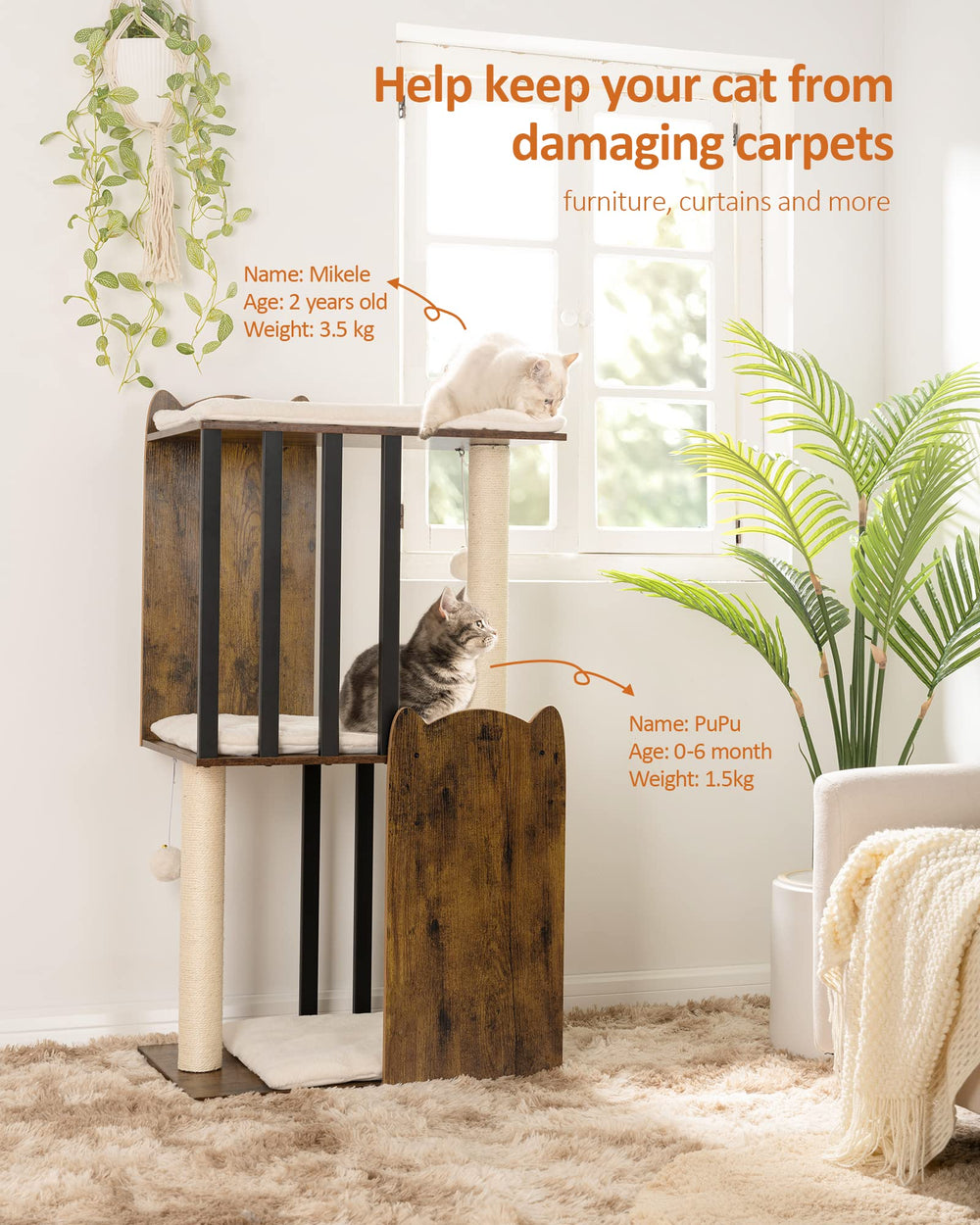 FourFurPets extra-large-platforms-23-6x15-7 cat tree supports cozy naps and play.