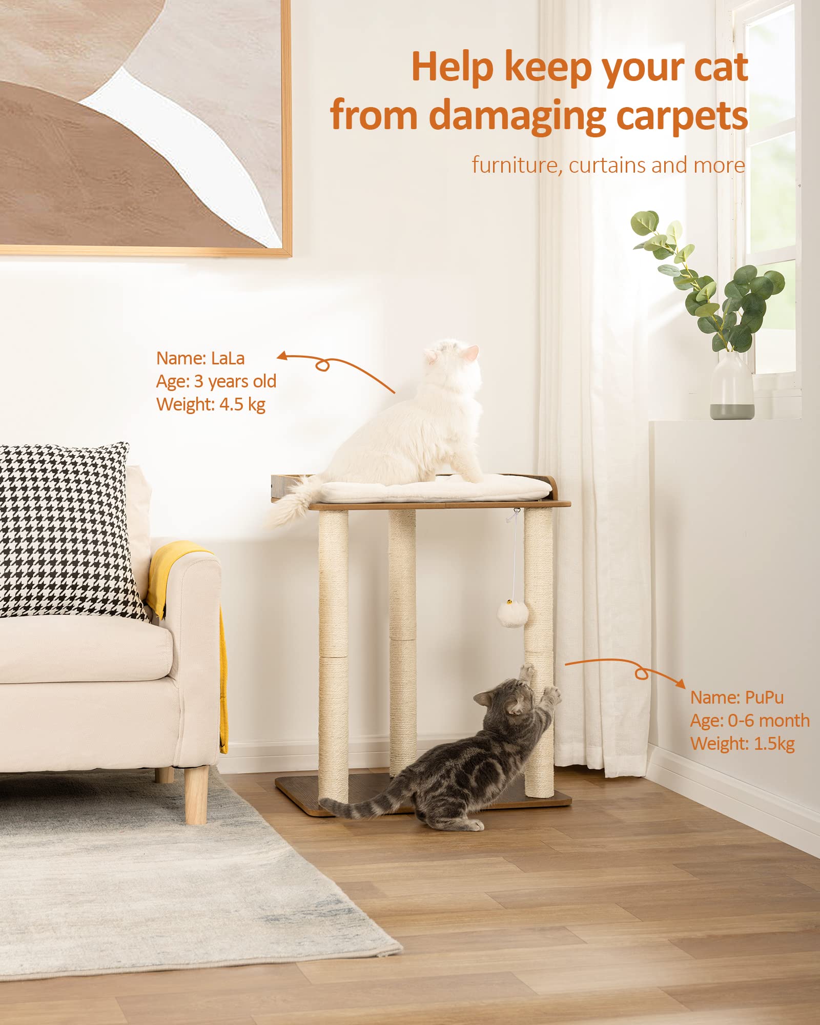 FourFurPets sisal posts showcase durable scratching surfaces that protect furniture