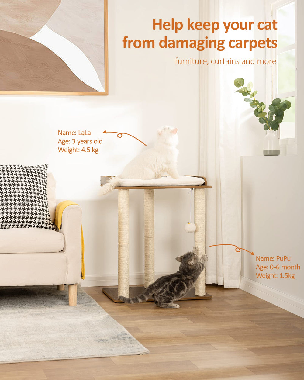 FourFurPets sisal posts showcase durable scratching surfaces that protect furniture