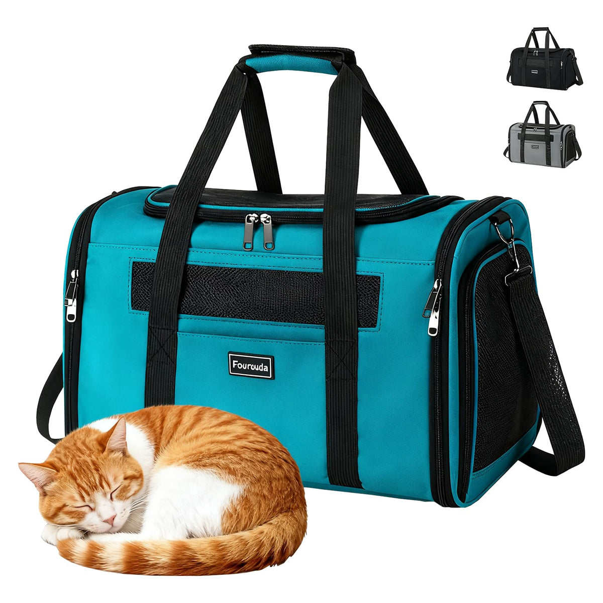 Fourouda blue cat soft sided carrier front view shows roomy space for small pets