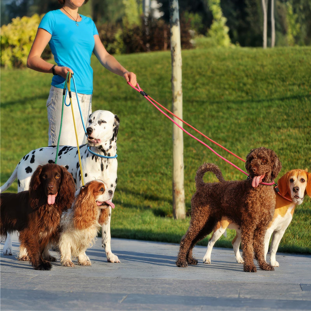 FOVRLZSE no-pull design slip lead simplifies walks without bulky gear.