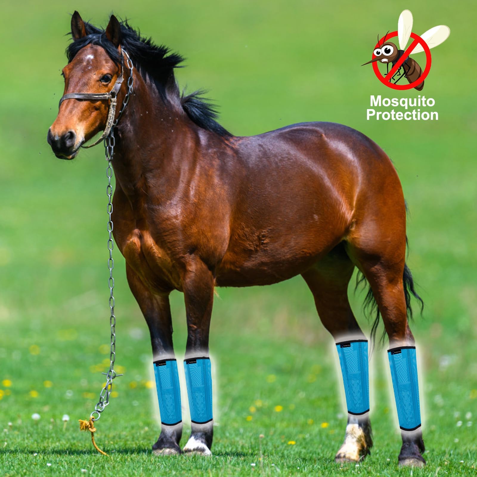 FOXLVDA horse fly boots blue four-pack arranged for full leg protection.