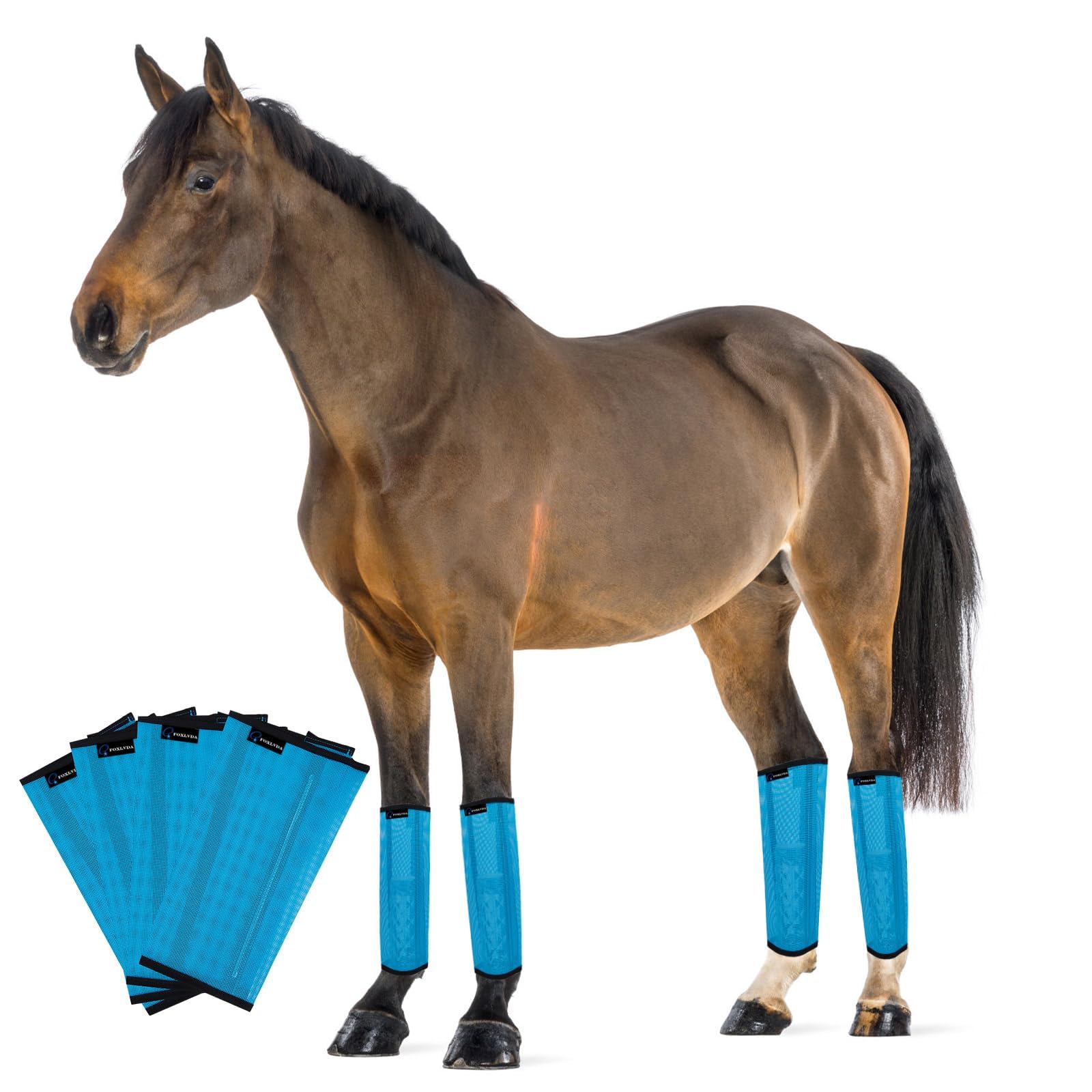 FOXLVDA horse fly boots blue front view with breathable mesh for cooling comfort.