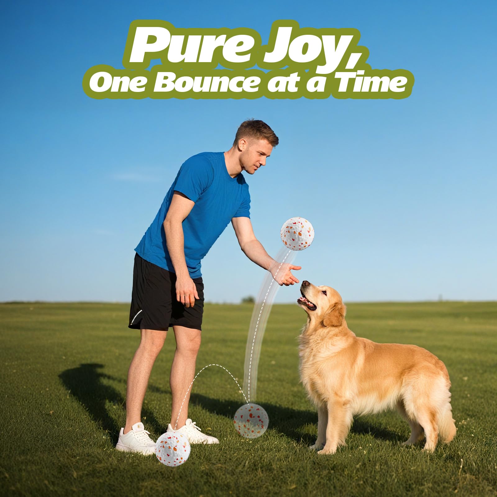 FOXMM E-TPU dog balls gift-ready packaging for dog lovers.