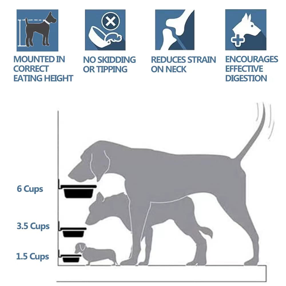 FOYO stainless steel bowls two-pack for dry kibble and water.