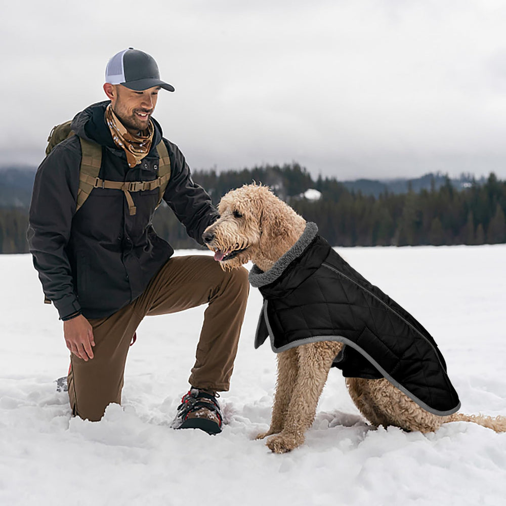 Fragralley dog coat adjustable fit for different dog sizes