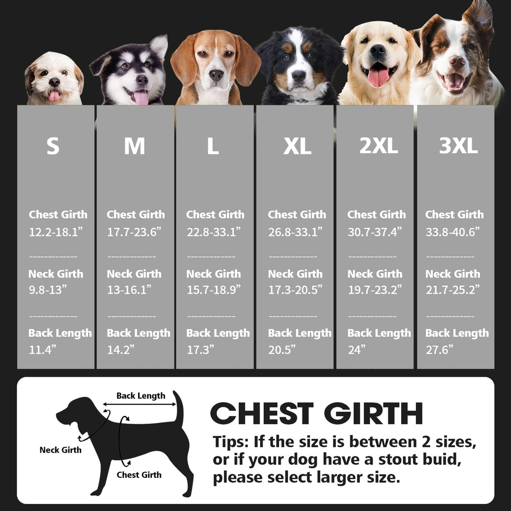 Fragralley dog coat demonstrates simple on-off design for fast dressing.