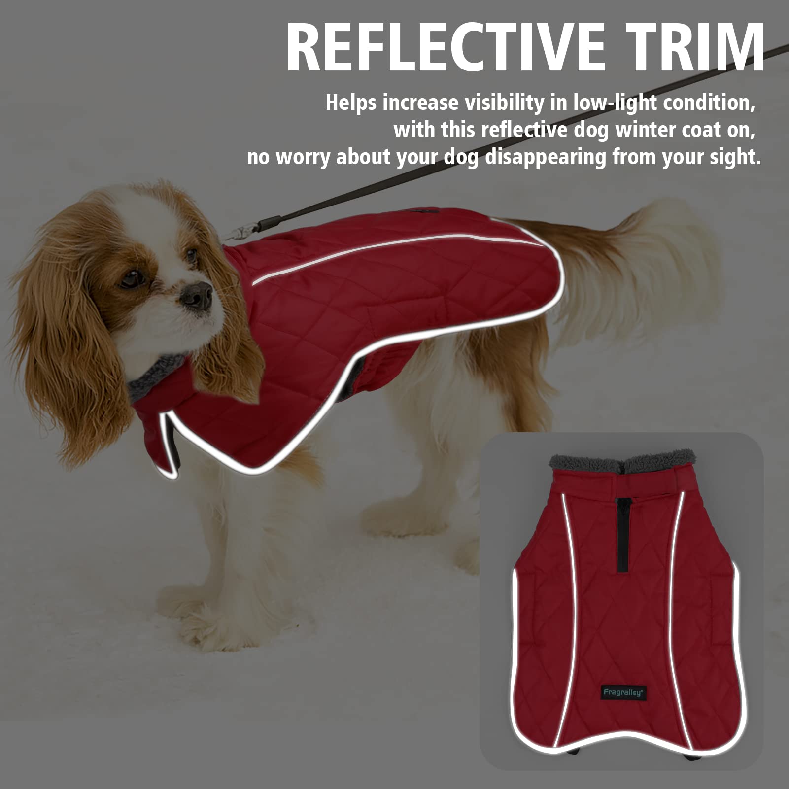 Fragralley dog coat elastic belly strap adds secure comfort.