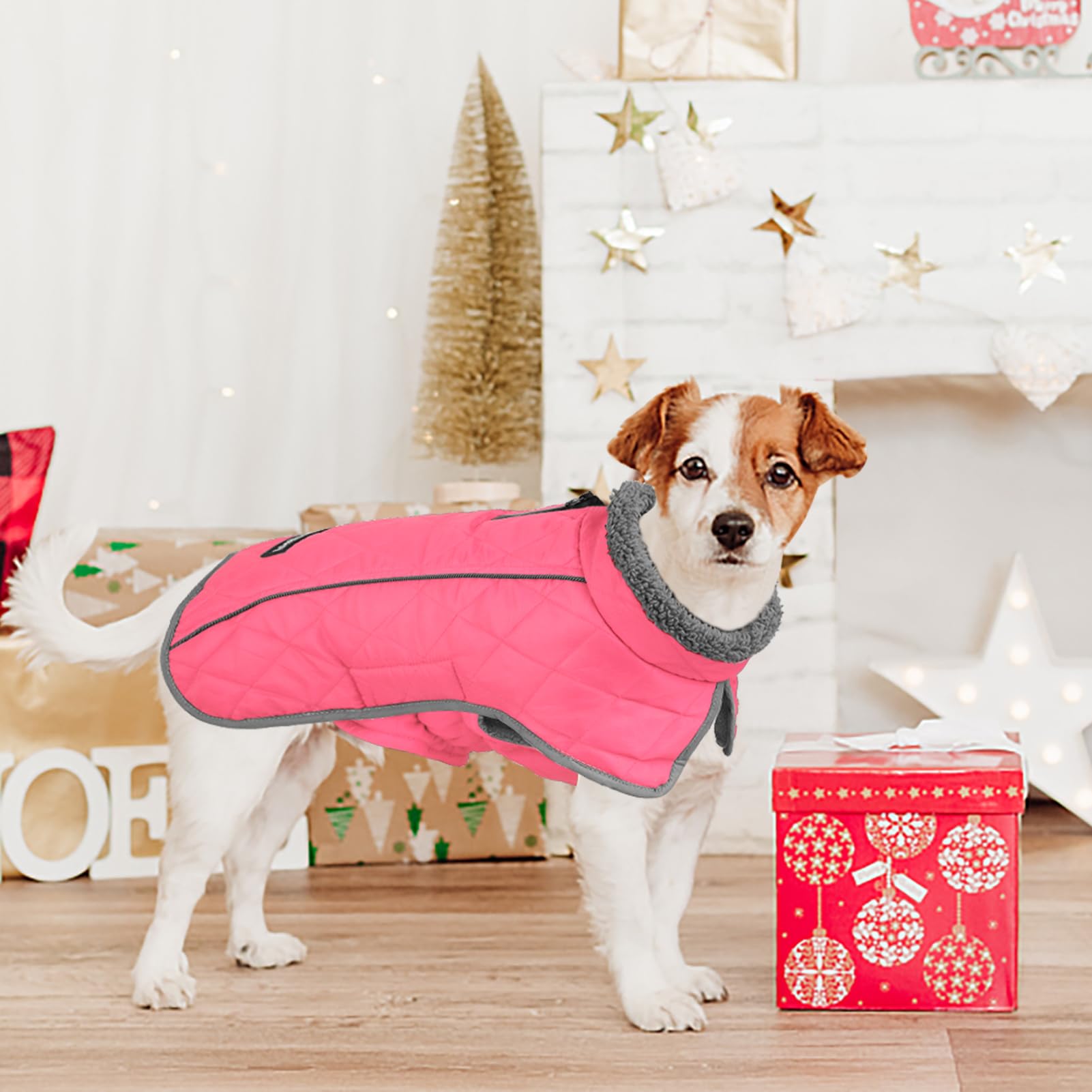 Fragralley elastic belly fit ensures snug comfort during activity