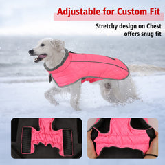 Fragralley dog coat elastic belly panel ensures snug flexible fit