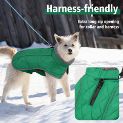 Fragralley dog coat green M back view shows secure fit for active dogs.