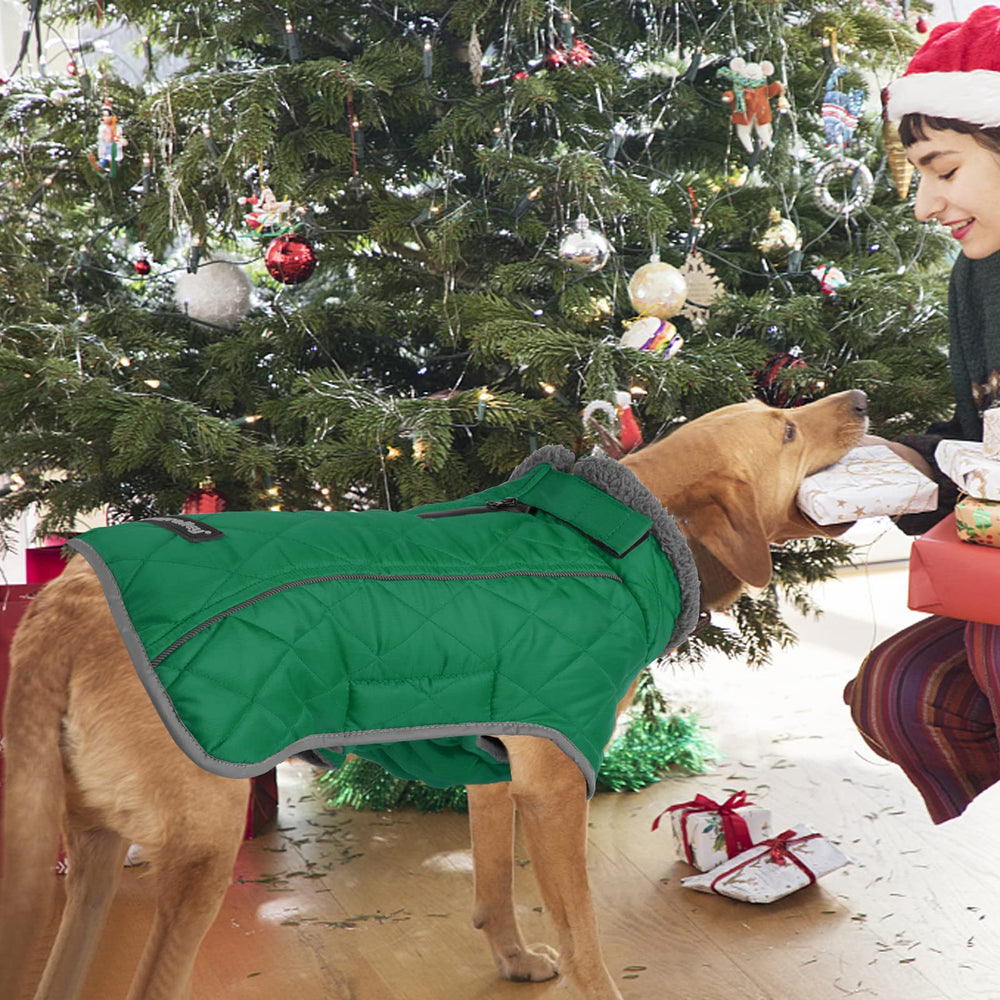 Fragralley dog coat green M elastic belly design for snug fit.