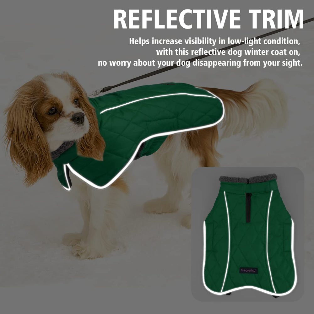 Fragralley dog coat closeup of reflective strips boosts nighttime visibility.