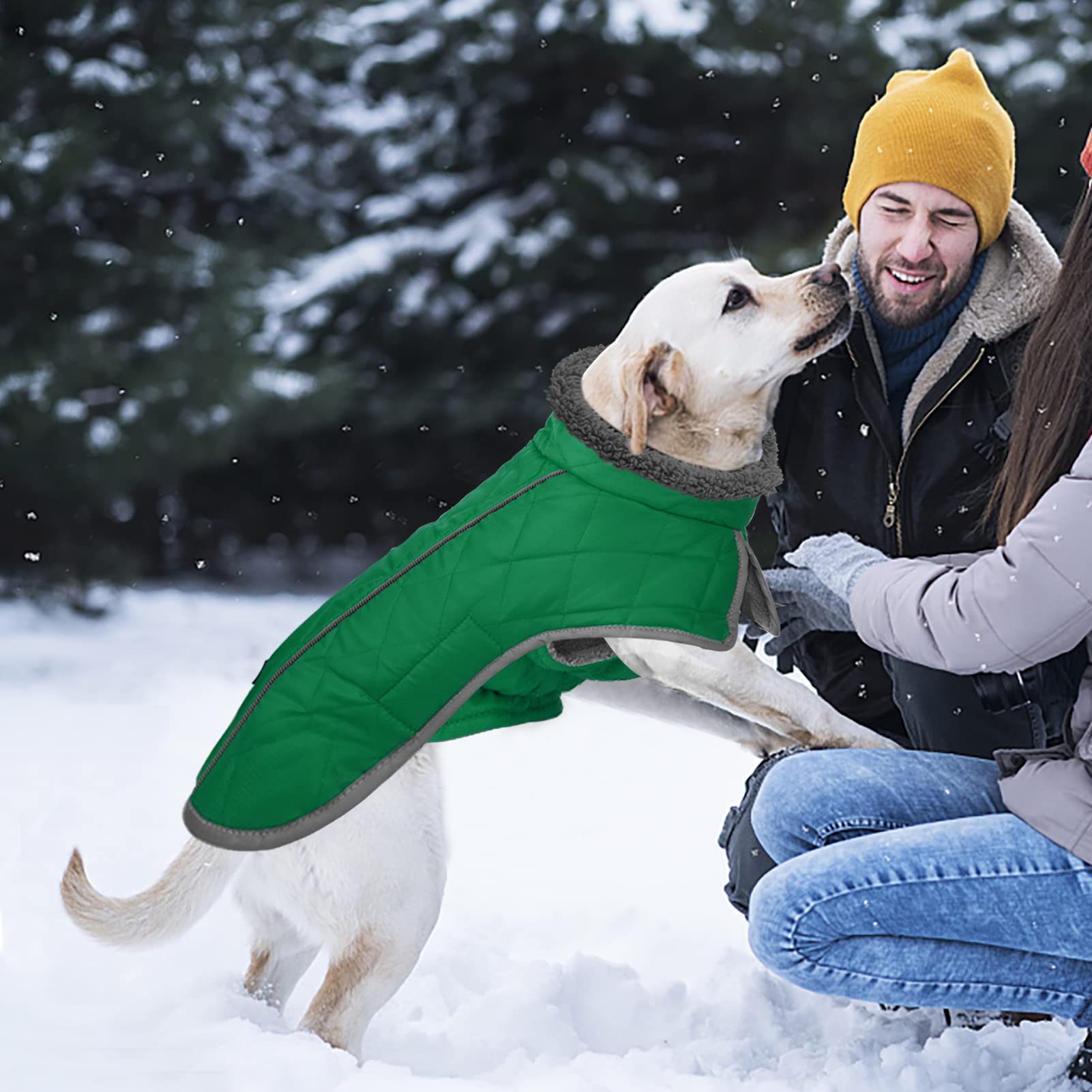 Fragralley dog coat green M size chart overview for six options.
