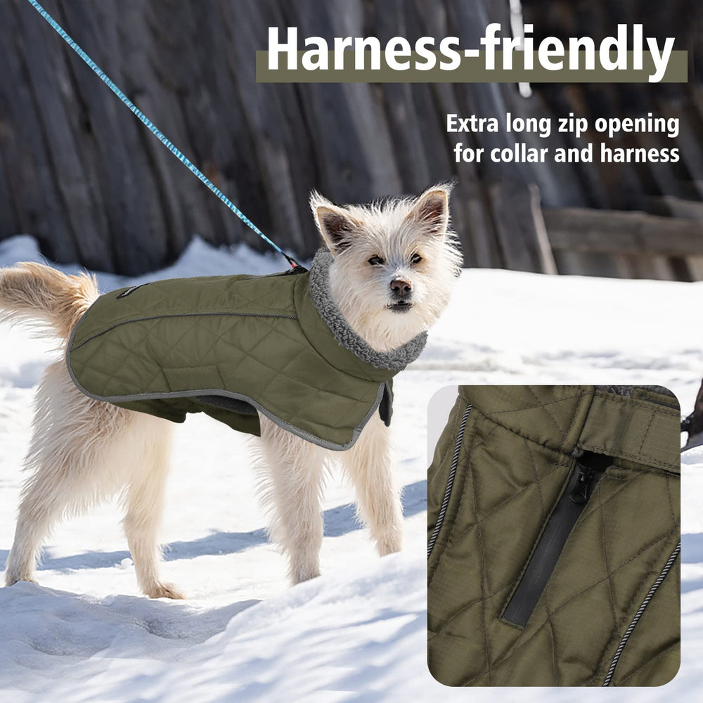 Fragralley dog coat leash-hole zipper keeps you connected while staying dry.