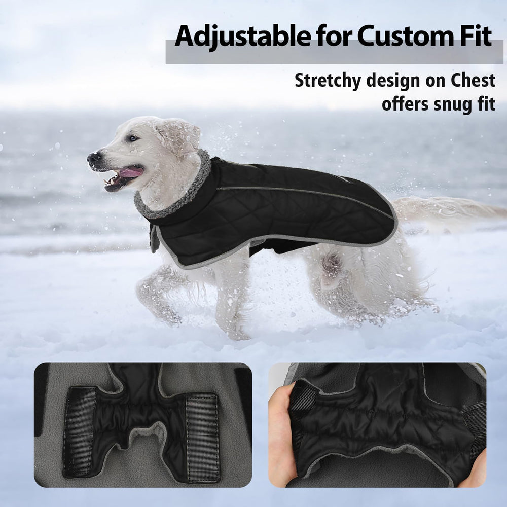 Fragralley dog coat waterproof zipper leash hole for secure outings