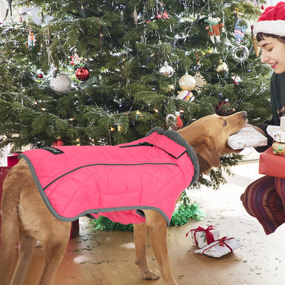 Fragralley dog coat waterproof zipper leash hole for secure leash