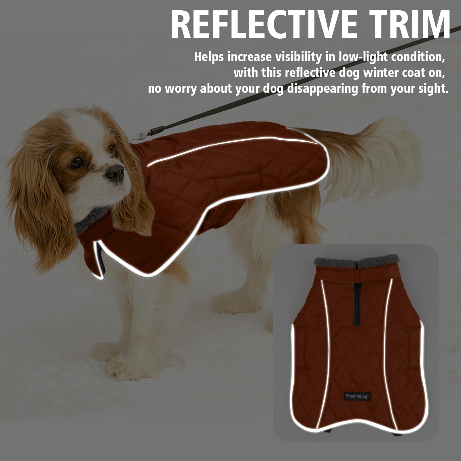 Fragralley leg-straps secure-fit dog coat stays in place during play.
