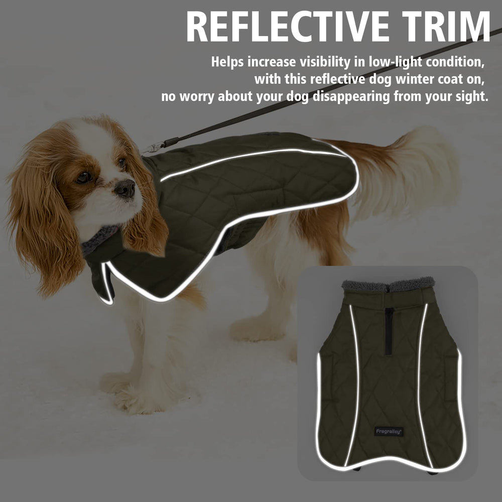 Fragralley dog coat leg-straps secure during energetic play and movement.