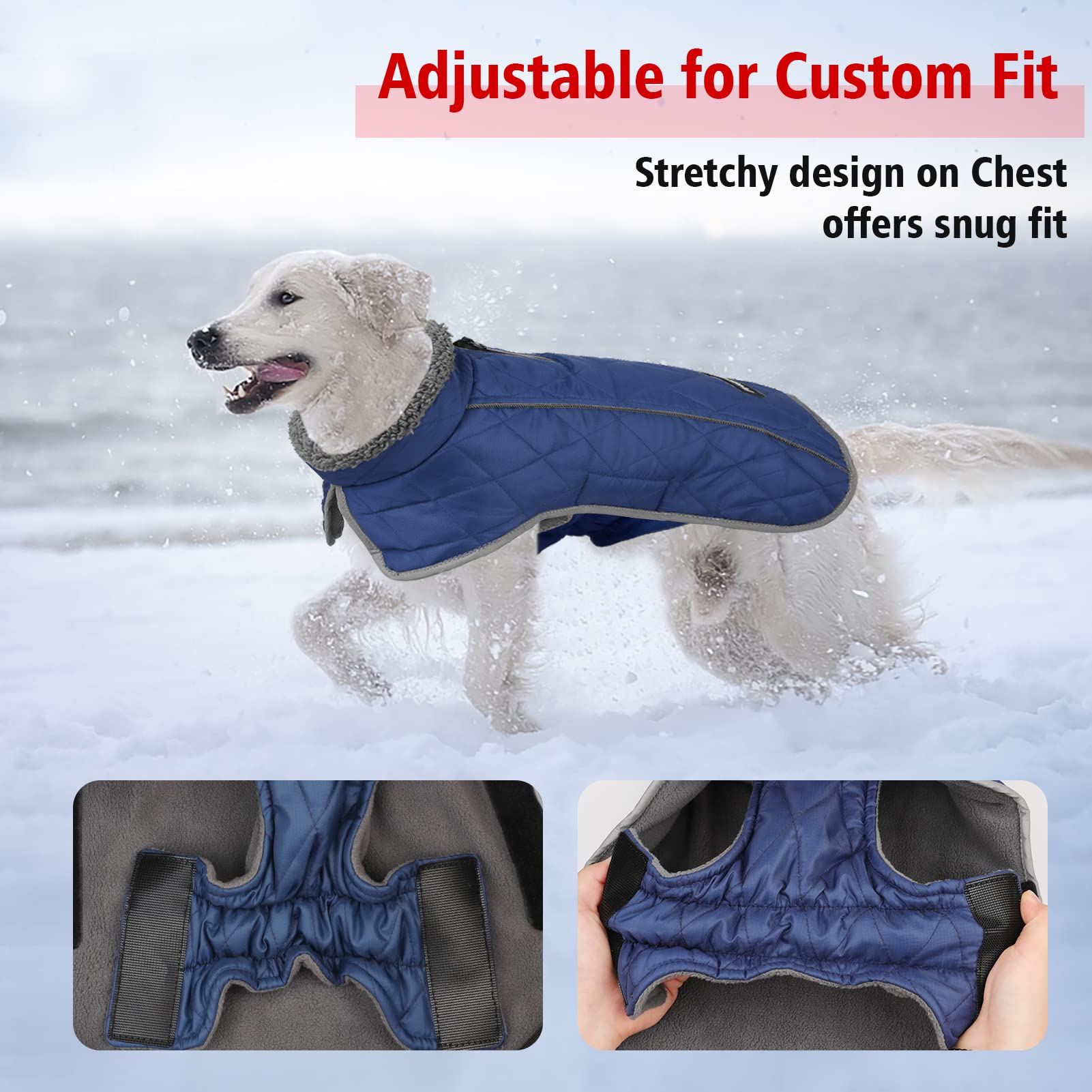 Fragralley dog coat with two leg straps keeps the coat secure during active play.