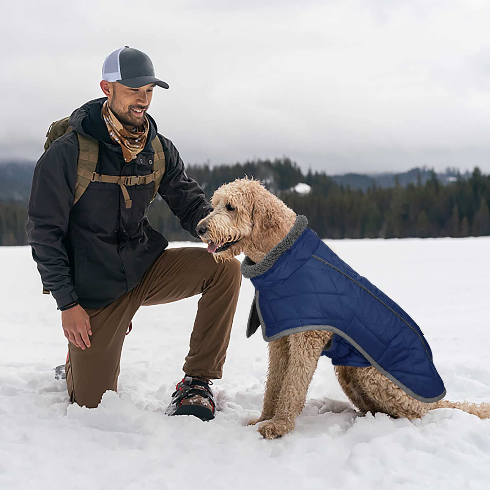 Fragralley nighttime visibility feature helps spot your dog in low light.