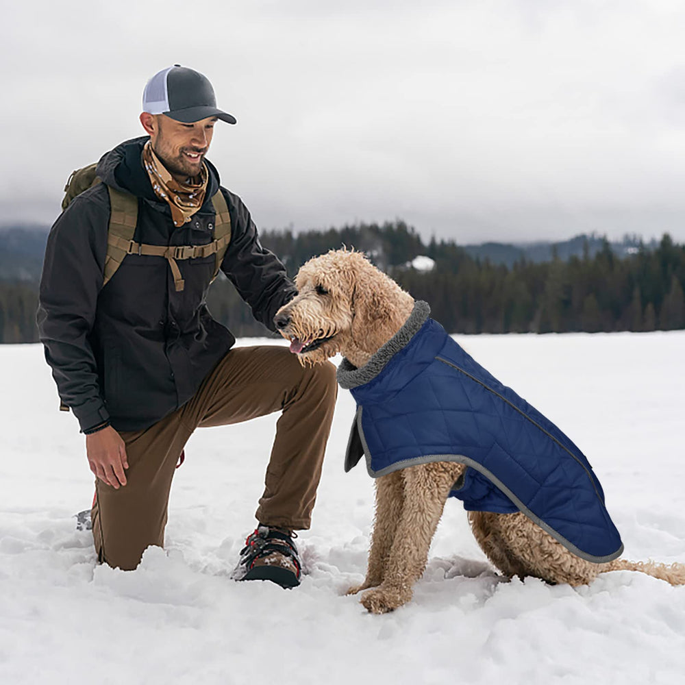 Fragralley nighttime visibility feature helps spot your dog in low light.